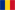 ÎN ROMÂNĂ