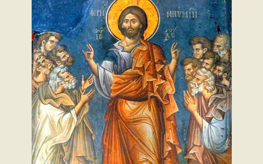 МИР СВИМА