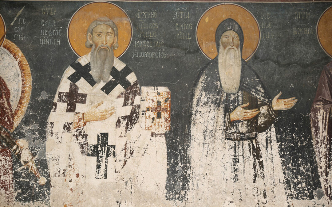 О СВЕТОСАВСКОМ ДОМОСТРОЈУ